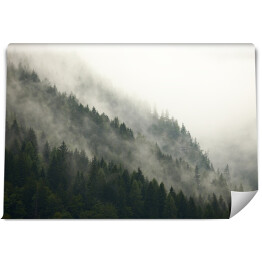 Góry z lasem we mgle