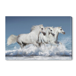 Stado białych koni biegnących galopem brzegiem oceanu