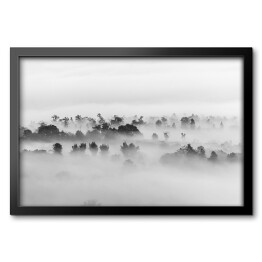 Obraz w ramie Drzewa w gęstej mgle
