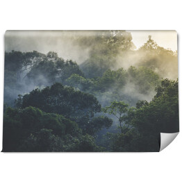 Fototapeta Tropikalny las deszczowy we mgle, Azja