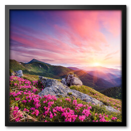 Obraz w ramie Krajobraz z kwiatami w górach