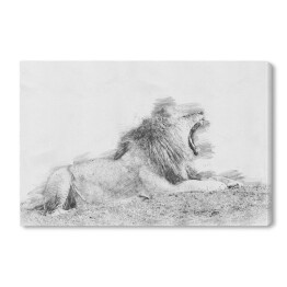Obraz na płótnie Ryczący lew - szkic