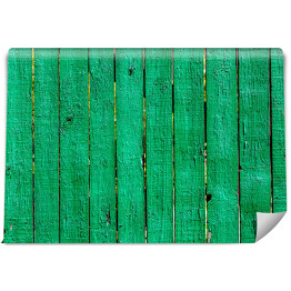 Fototapeta winylowa zmywalna Drewniana tekstura w zielonym kolorze