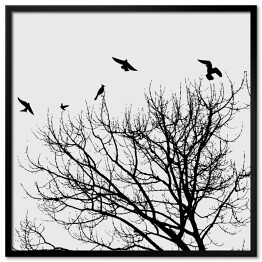 Plakat w ramie Czarne ptaki latające nad koroną drzwa