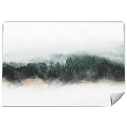 Fototapeta Tajemniczy górski las we mgle 