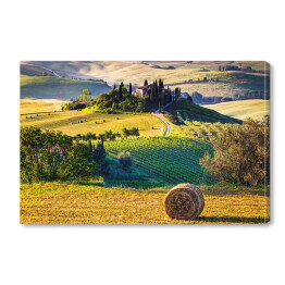 Obraz na płótnie Toskania, krajobraz