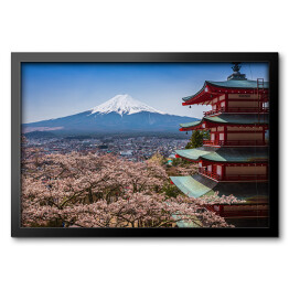 Obraz w ramie Kwitnące wiśnie na tle góry Fuji