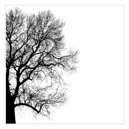 Plakat samoprzylepny Szkic połowy drzewa