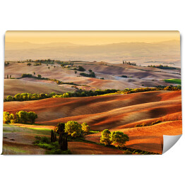 Fototapeta winylowa zmywalna Wzgorza Toskanii oświetlone złotymi promieniami słońca, Włochy