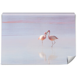 Fototapeta winylowa zmywalna Dwa flamingi spacerujące po wodzie