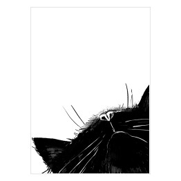 Plakat samoprzylepny Koci pyszczek