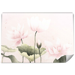 Fototapeta Pastelowe lilie wodne na tle w odcieniach różu