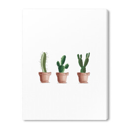 Obraz na płótnie Trzy kaktusy