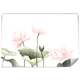Fototapeta winylowa zmywalna Pastelowe lilie wodne na białym tle