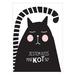 Plakat Ilustracja - kot z hasłem motywacyjnym
