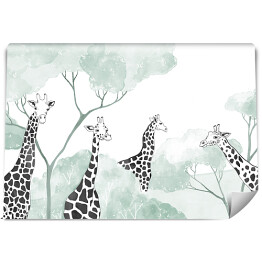 Fototapeta Czarno białe żyrafy i akwarelowe drzewa