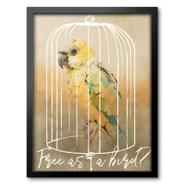 Obraz w ramie Papuga w klatce 