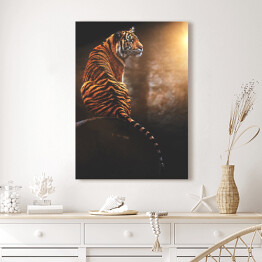 Obraz klasyczny Tygrys
