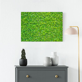 Obraz klasyczny Zielone liście - tło