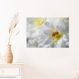 Plakat samoprzylepny Kompozycja białych kwiatów