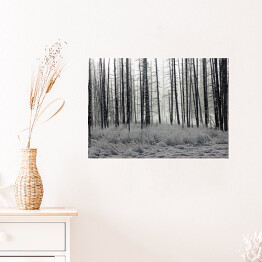 Plakat samoprzylepny Las we mgle czarno biały