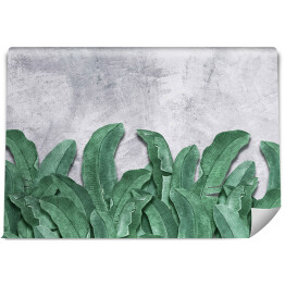 Fototapety do wnętrza. Liście bananowca. Zielone liście tropikalne. Fototapeta na ściany. Dekoracja wykonana z liści.