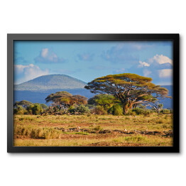 Krajobraz sawanny, Kenia