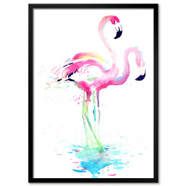 Flamingi w wodzie