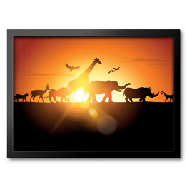 Safari - zachód słońca