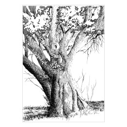 Duże samotne drzewo - atrament na białym tle