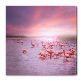 Flamingi na tle różowego nieba