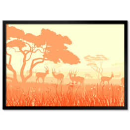 Fauna i flora Afryki w jasnych kolorach