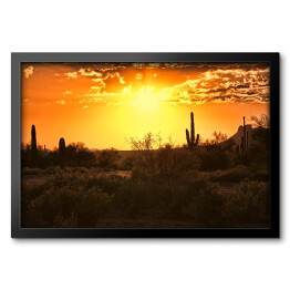 Piękny widok pustyni z kaktusami w Arizonie o zmierzchu 