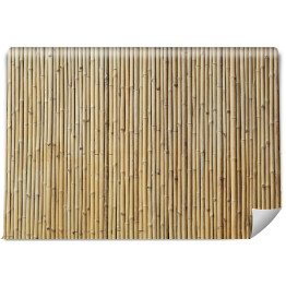 Bambusowa ściana