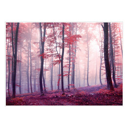 Jesienny las w odcieniach fioletu i czerwieni