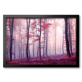 Jesienny las w odcieniach fioletu i czerwieni