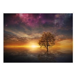 Drzewo na tle zachodzącego słońca i fioletowego nieba