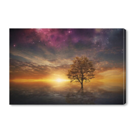 Drzewo na tle zachodzącego słońca i fioletowego nieba