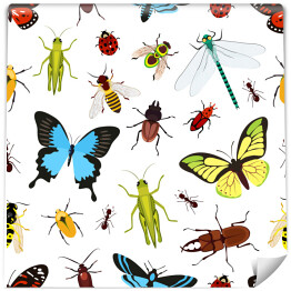 Wzór - kolorowe owady
