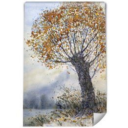 Stare drzewo jesienią - akwarela