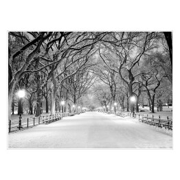 Central Park w Nowym Jorku pokryty śniegiem o świcie