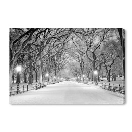 Central Park w Nowym Jorku pokryty śniegiem o świcie