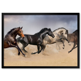 Cztery piękne ciemne konie galopujące po pustyni