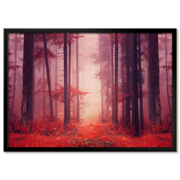Jesienny las we mgle w odcieniach czerwieni