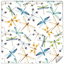 Akwarela - kolorowe latające ważki na jasnym tle