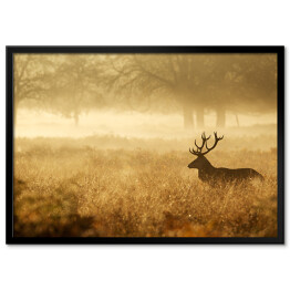 Sylwetka jelenia w mgle o świcie