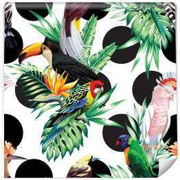 Tropikalne ptaki siedzące na liściach palmy na czarno białym tle