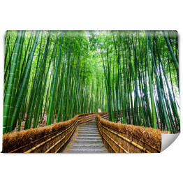 Ścieżka do bambusowego lasu, Arashiyama, Kyoto, Japonia