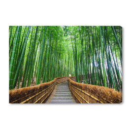Ścieżka do bambusowego lasu, Arashiyama, Kyoto, Japonia