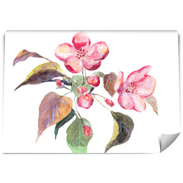 Różowy kwiat jabłoni - akwarela 